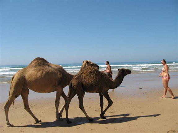 ASILAH Y CHEFCHAOUEN_03.JPG